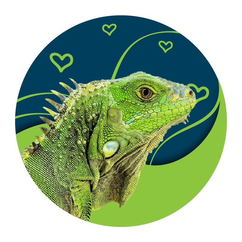 reptil